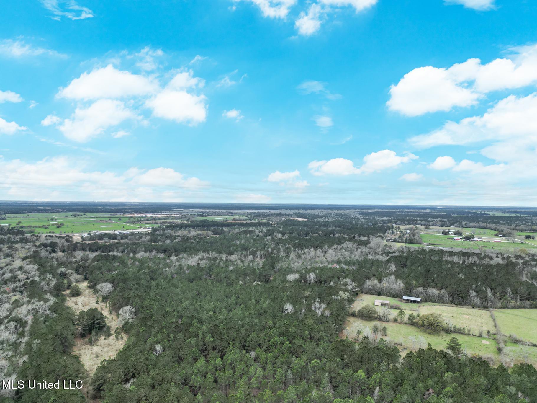43 Parcel 1 And 2 Picayune, MS 39466 - Photo 8 of 11 Hwy 43 acres
