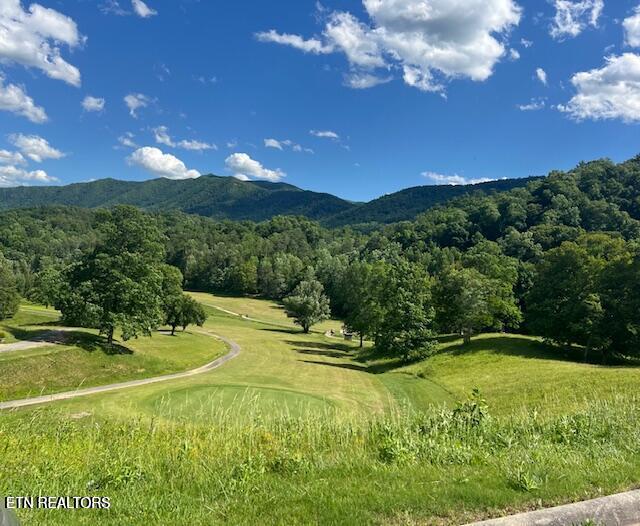 405 Laurel Trace Road Townsend, TN 37882 - Photo 26 of 28 Wild Laurel Golf Course
