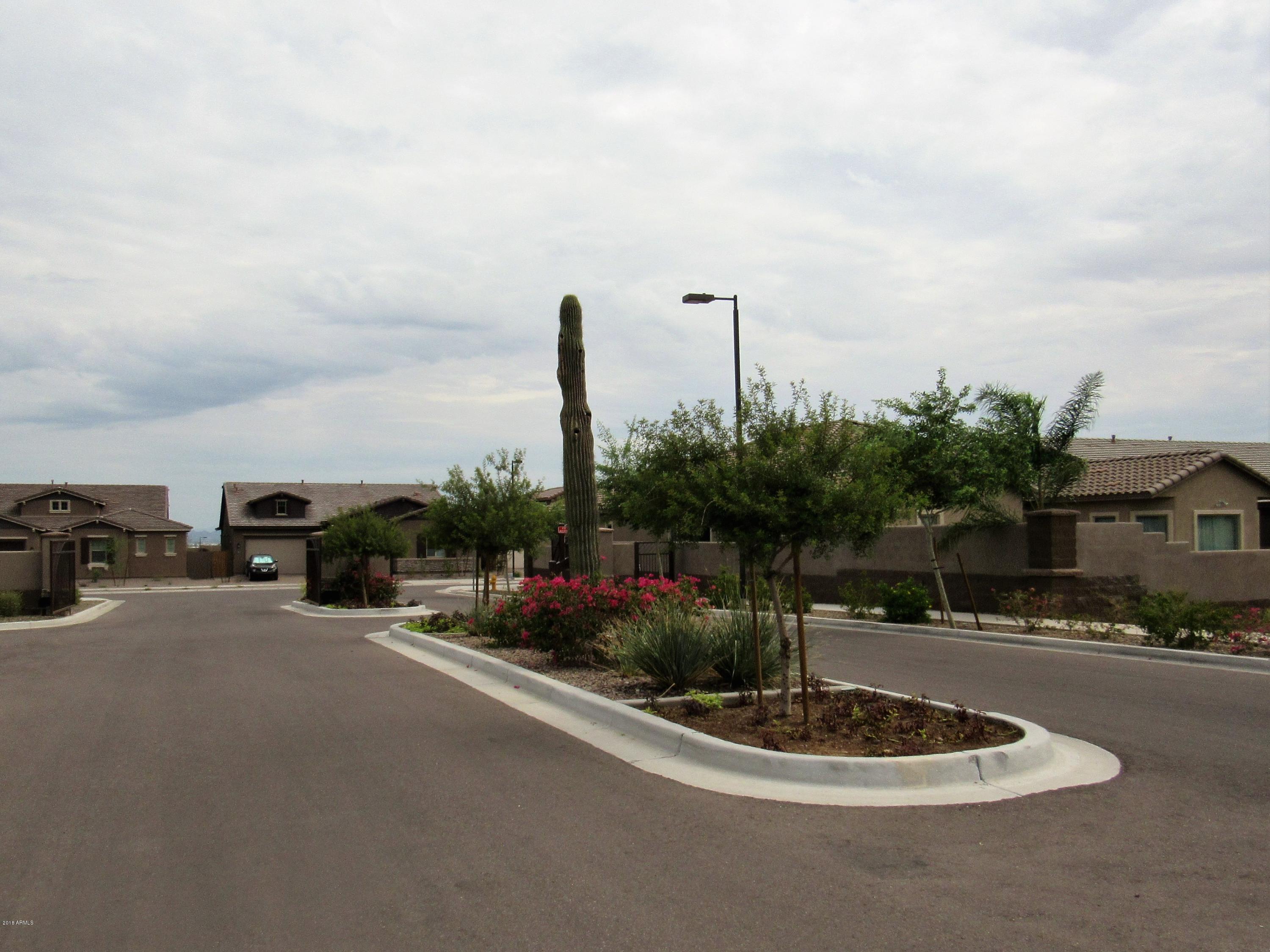 1421 East Pedro Road Phoenix, AZ 85042 - Photo 54 of 56 IMG_8759