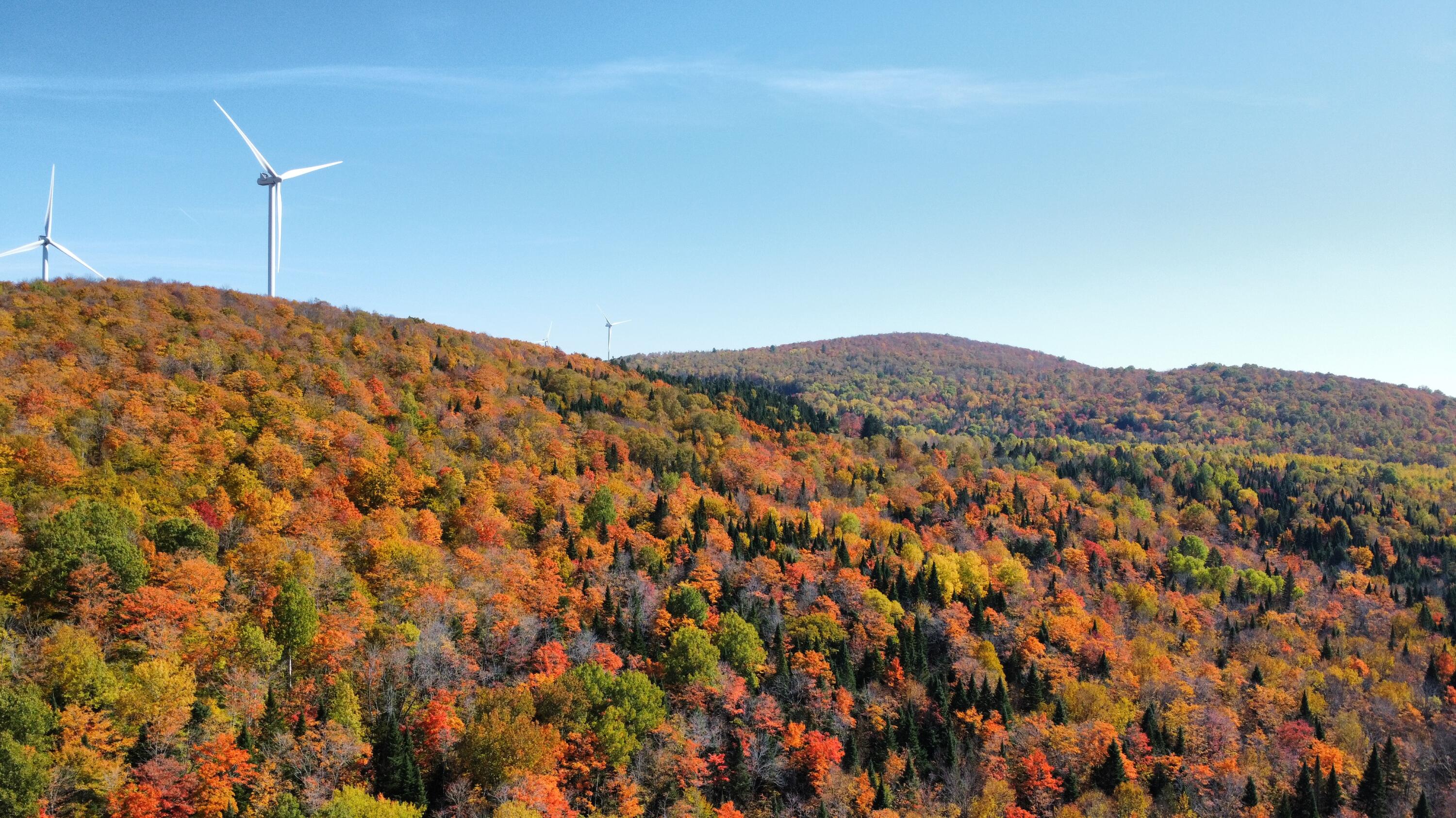 526 Thompson Settlement Road Oakfield, ME 04763 - Photo 15 of 40 dji_fly_20251006_120758_410_175976701601