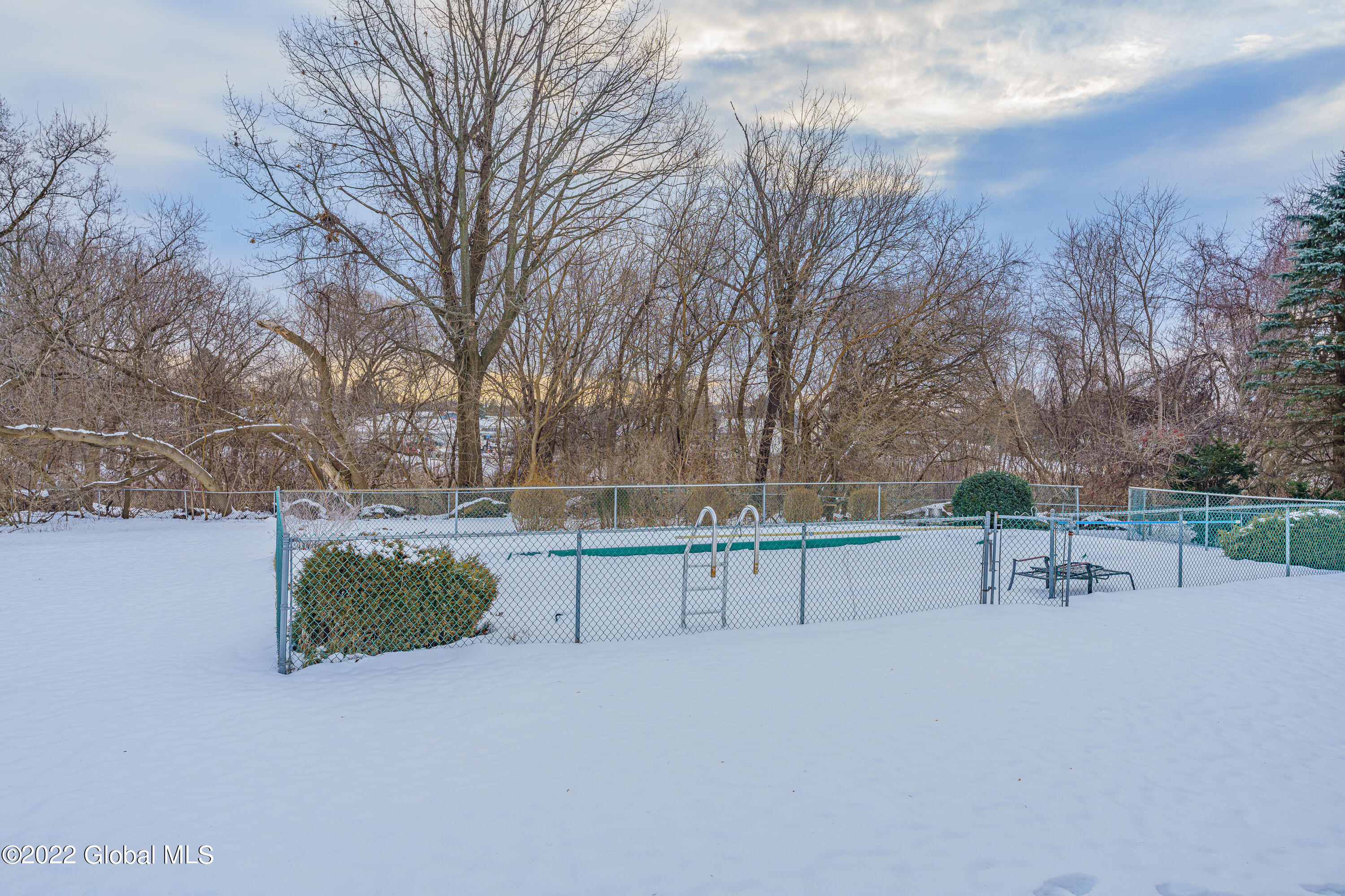 40 Dowling Road Colonie, NY 12205 - Photo 20 of 22 Yard 1