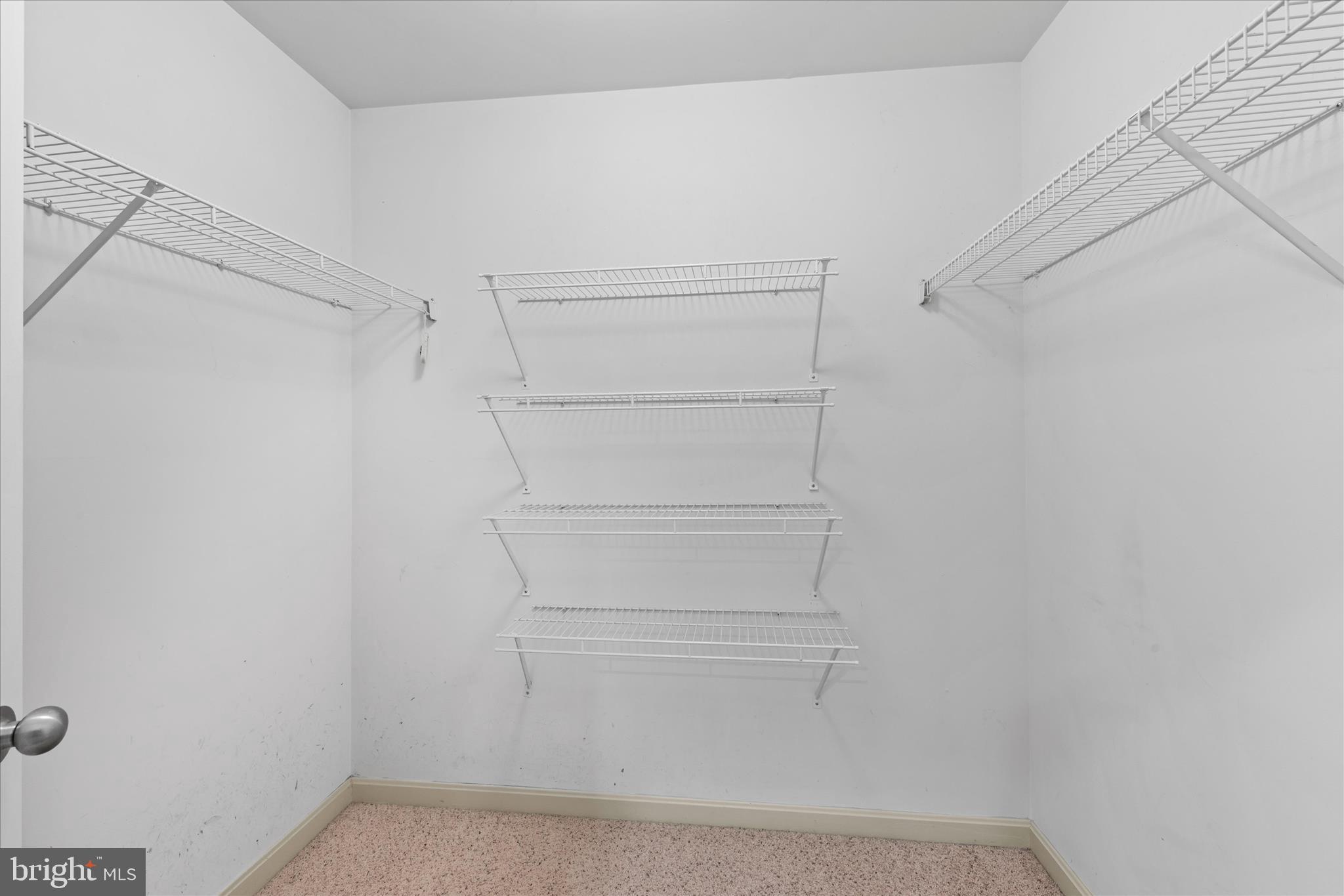 30398 Southampton Bridge Road Salisbury, MD 21804 - Photo 51 of 76 a view of walk in closet with empty racks