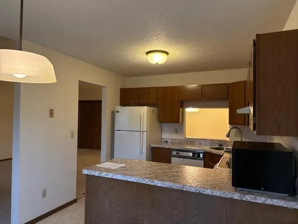 $125,800 | 500 Etna Street, Unit 203, St. Paul, MN 55106