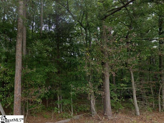 960 Brook Road Clinton, SC 29325 - Photo 2 of 3