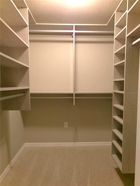 3603 Cypress Meadows Road Tampa, FL 33624 - Photo 18 of 33 a view of a room with shelves