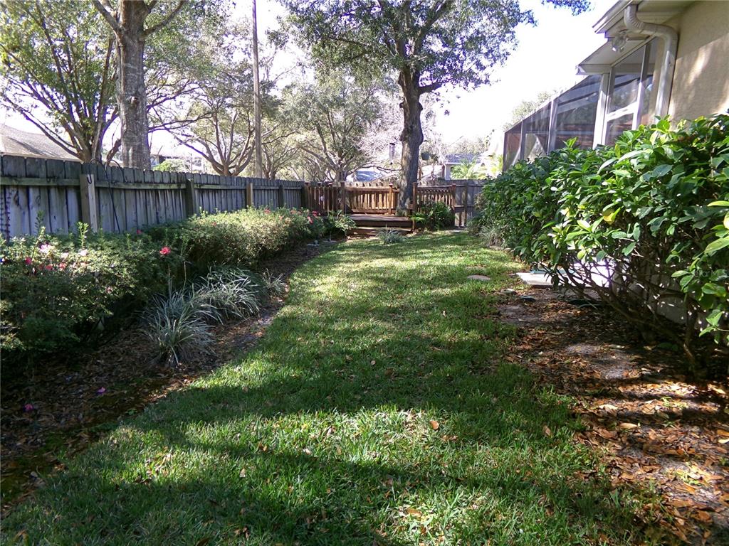 3603 Cypress Meadows Road Tampa, FL 33624 - Photo 32 of 33 a view of a yard with plants and trees