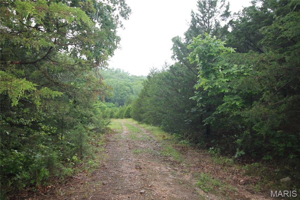 16286 Maries Rod 303 Vienna, MO 65582 - Photo 13 of 32