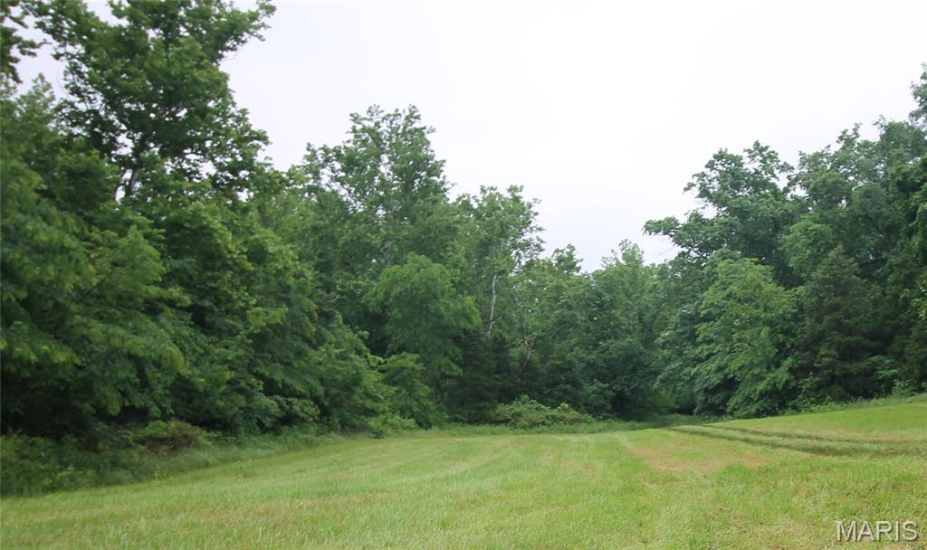 16286 Maries Rod 303 Vienna, MO 65582 - Photo 14 of 32