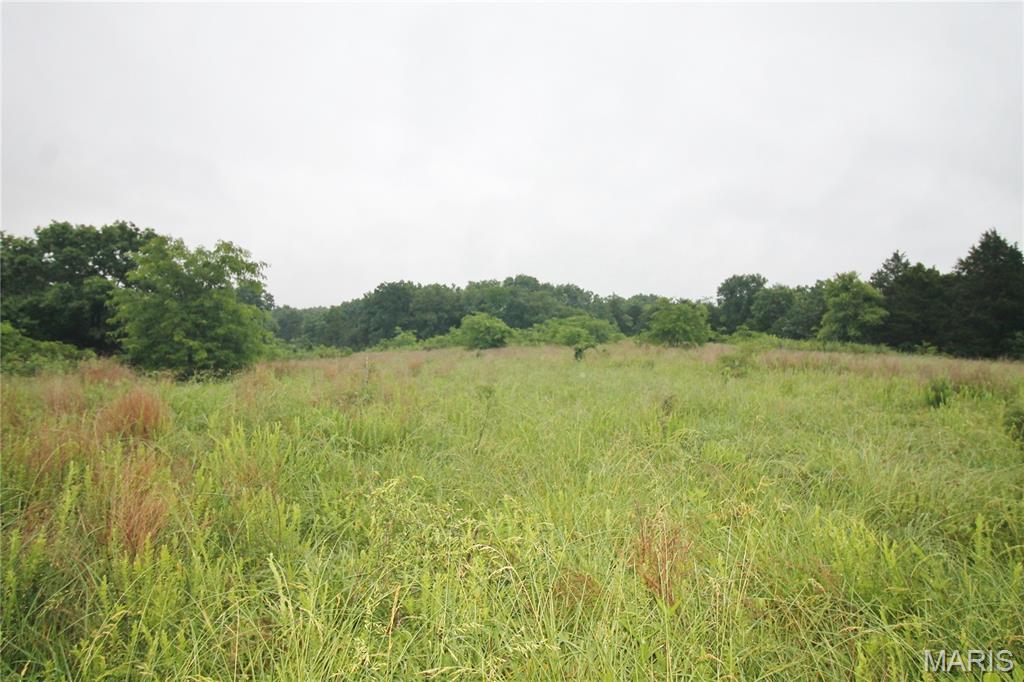 16286 Maries Rod 303 Vienna, MO 65582 - Photo 18 of 32