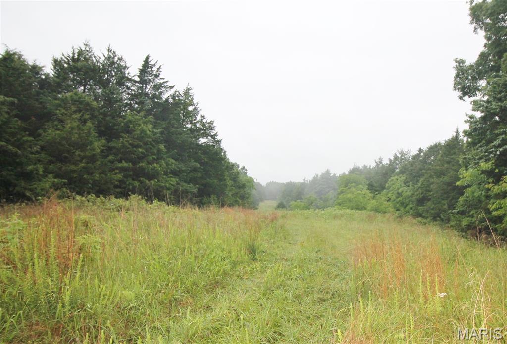 16286 Maries Rod 303 Vienna, MO 65582 - Photo 19 of 32