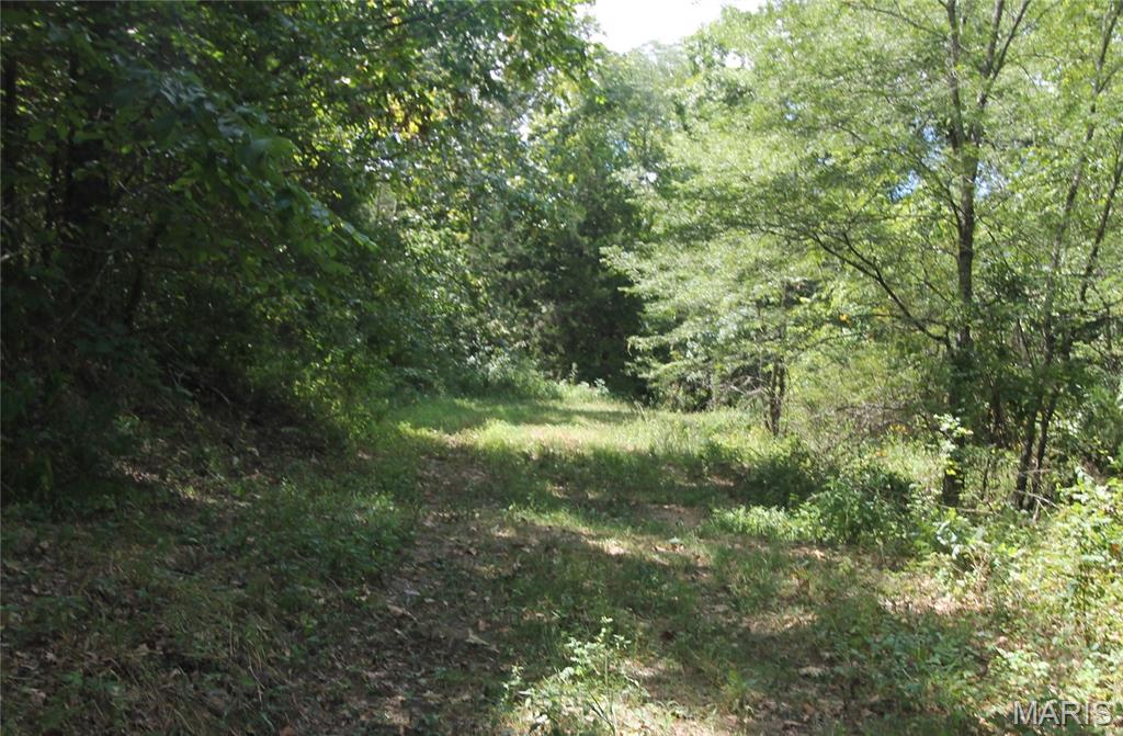 16286 Maries Rod 303 Vienna, MO 65582 - Photo 23 of 32