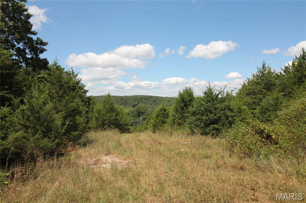 16286 Maries Rod 303 Vienna, MO 65582 - Photo 25 of 32