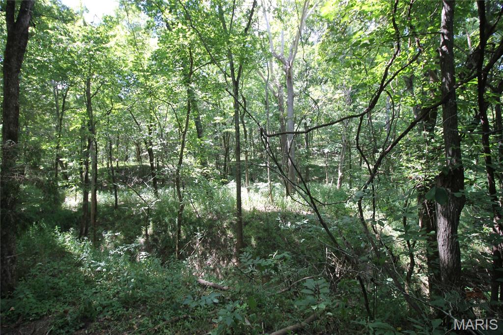 16286 Maries Rod 303 Vienna, MO 65582 - Photo 26 of 32