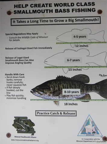 $1,836,000 | 16286 Maries Rod 303, Vienna, MO 65582