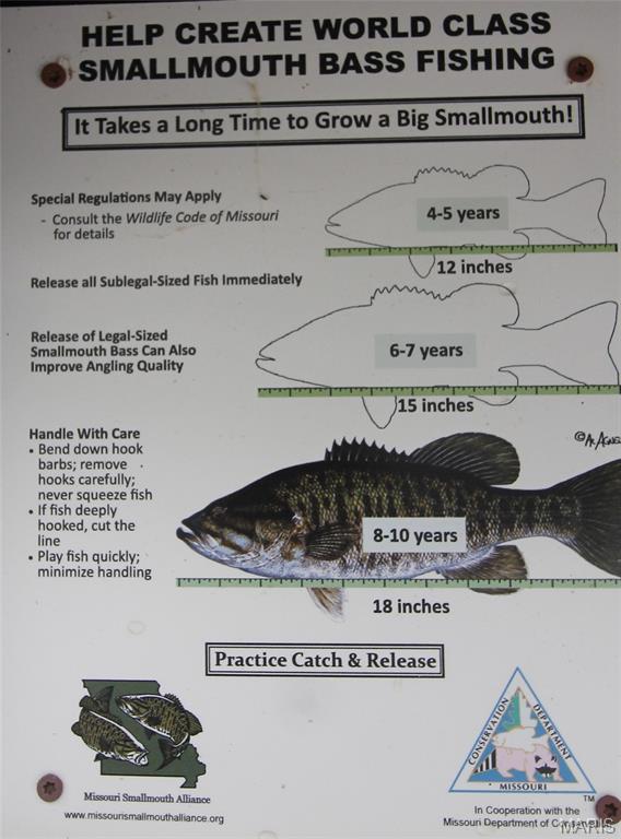 16286 Maries Rod 303 Vienna, MO 65582 - Photo 32 of 32