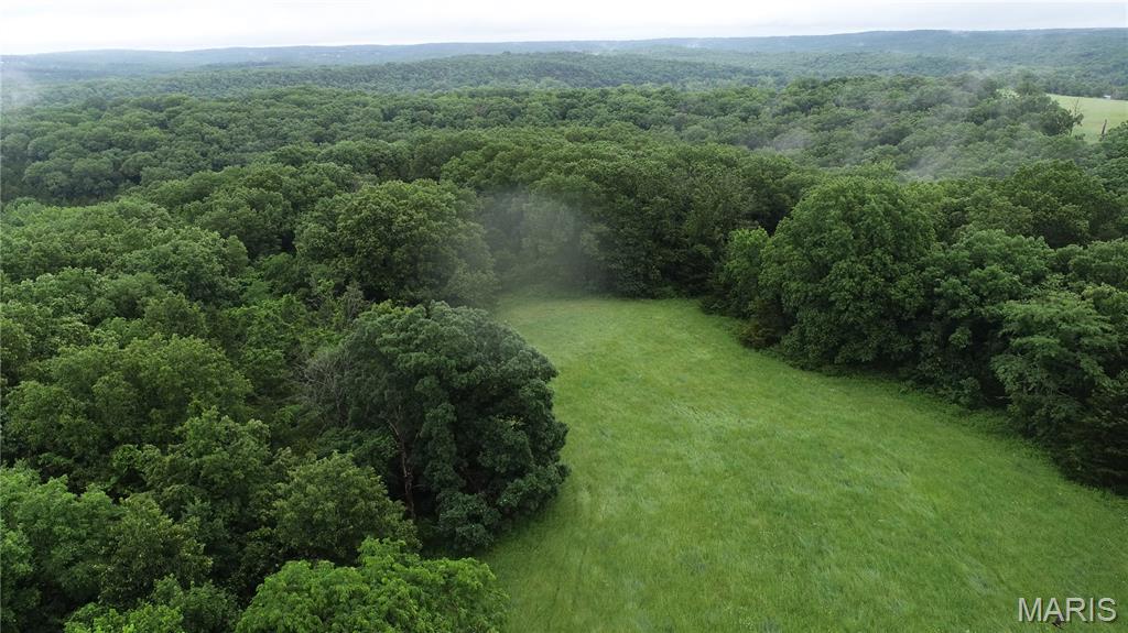 16286 Maries Rod 303 Vienna, MO 65582 - Photo 6 of 32