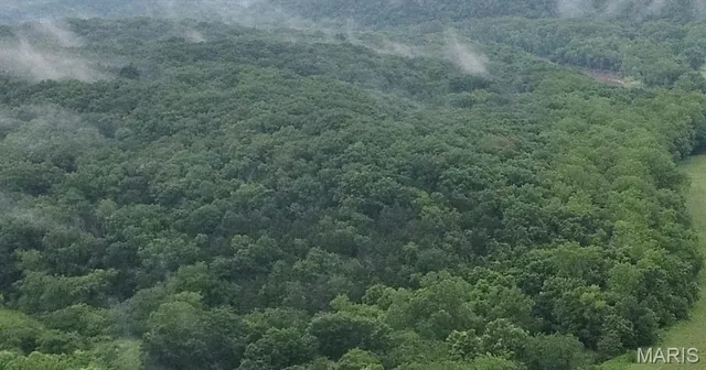 $1,836,000 | 16286 Maries Rod 303, Vienna, MO 65582