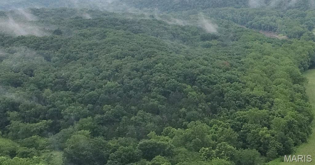 16286 Maries Rod 303 Vienna, MO 65582 - Photo 7 of 32