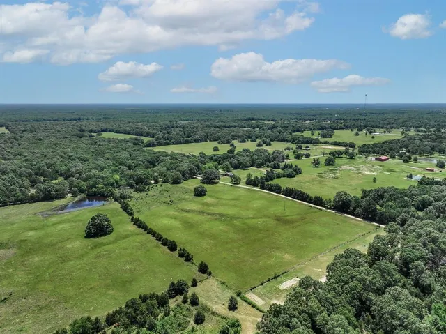 an aerial view of a trees