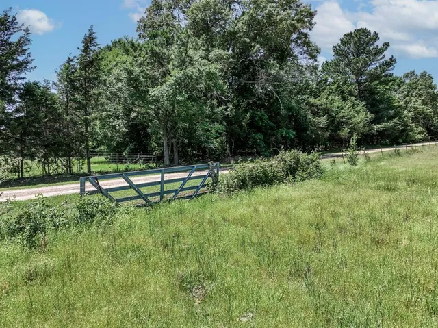 a view of a field with an ocean