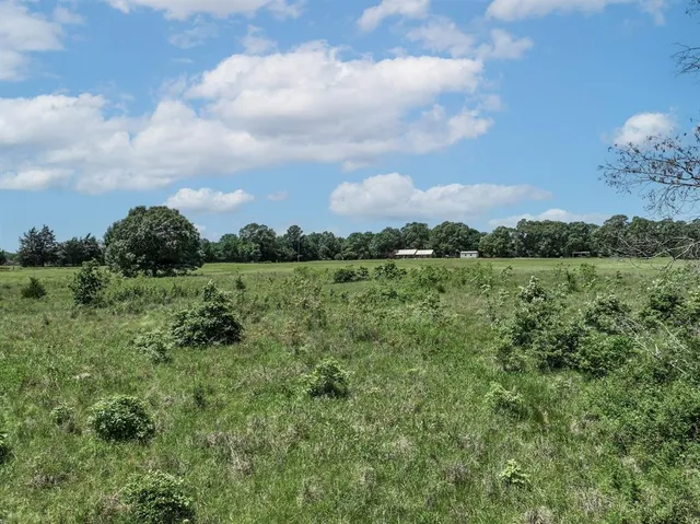 a view of a garden with a building in the background