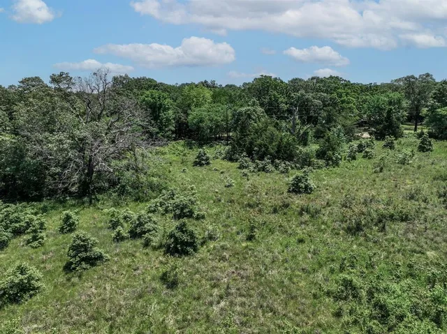 a view of a road with plants and trees