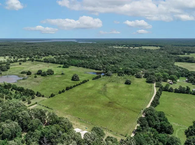 an aerial view of residential houses with outdoor space and trees