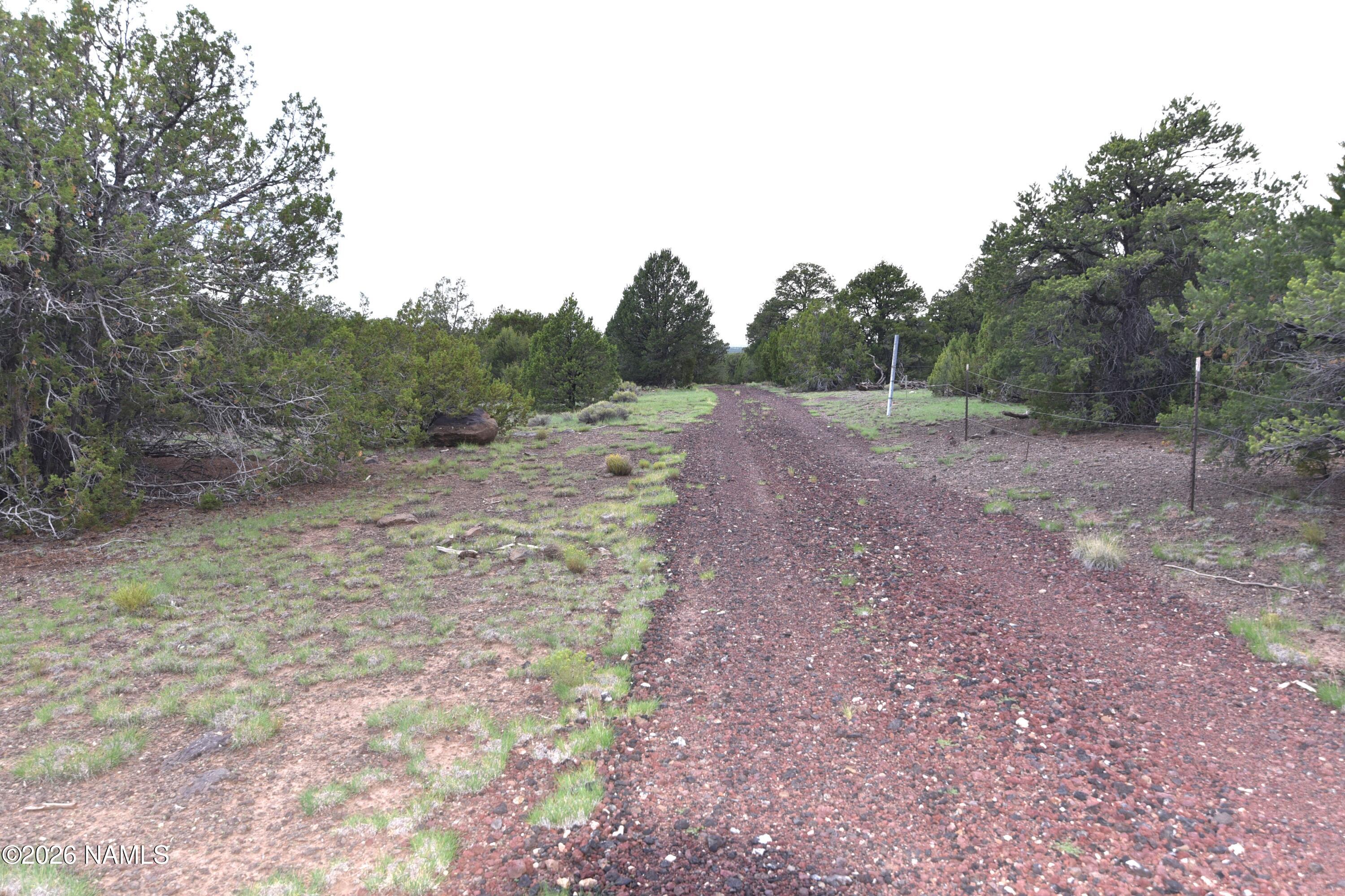 304 East Black Feather Road Williams, AZ 86046 - Photo 6 of 11 DSC_5324