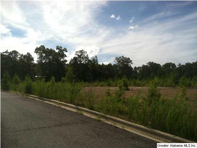 Old Acton Road, Unit 55 Moody, AL 35004 - Photo 3 of 9