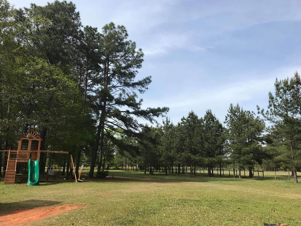 239 John Howard Road Shiloh, GA 31826 - Photo 25 of 29 Side yard.