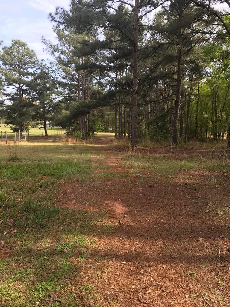 239 John Howard Road Shiloh, GA 31826 - Photo 26 of 29 Yard
