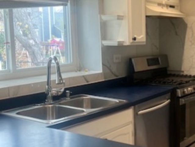 3256 Gresham Lane East Aurora, IL 60504 - Photo 8 of 14 a kitchen with a sink and a window