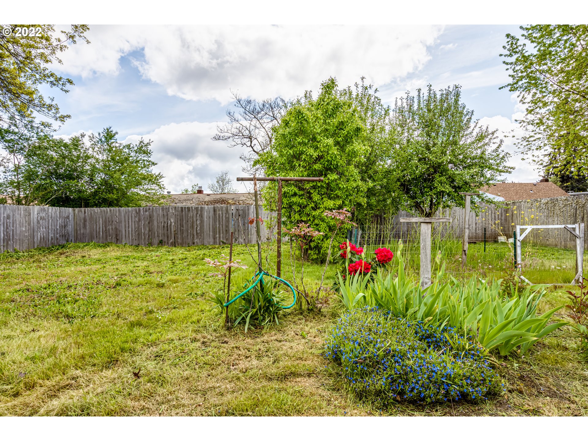 305 37th Street Springfield, OR 97478 - Photo 16 of 18 a view of a backyard