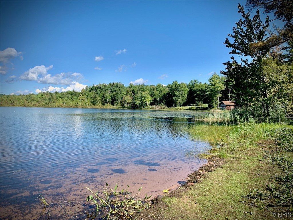 2 Vandercamp Centre Constantia, NY 13042 - Photo 25 of 49