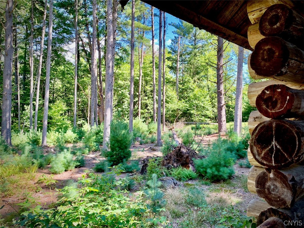 2 Vandercamp Centre Constantia, NY 13042 - Photo 32 of 49