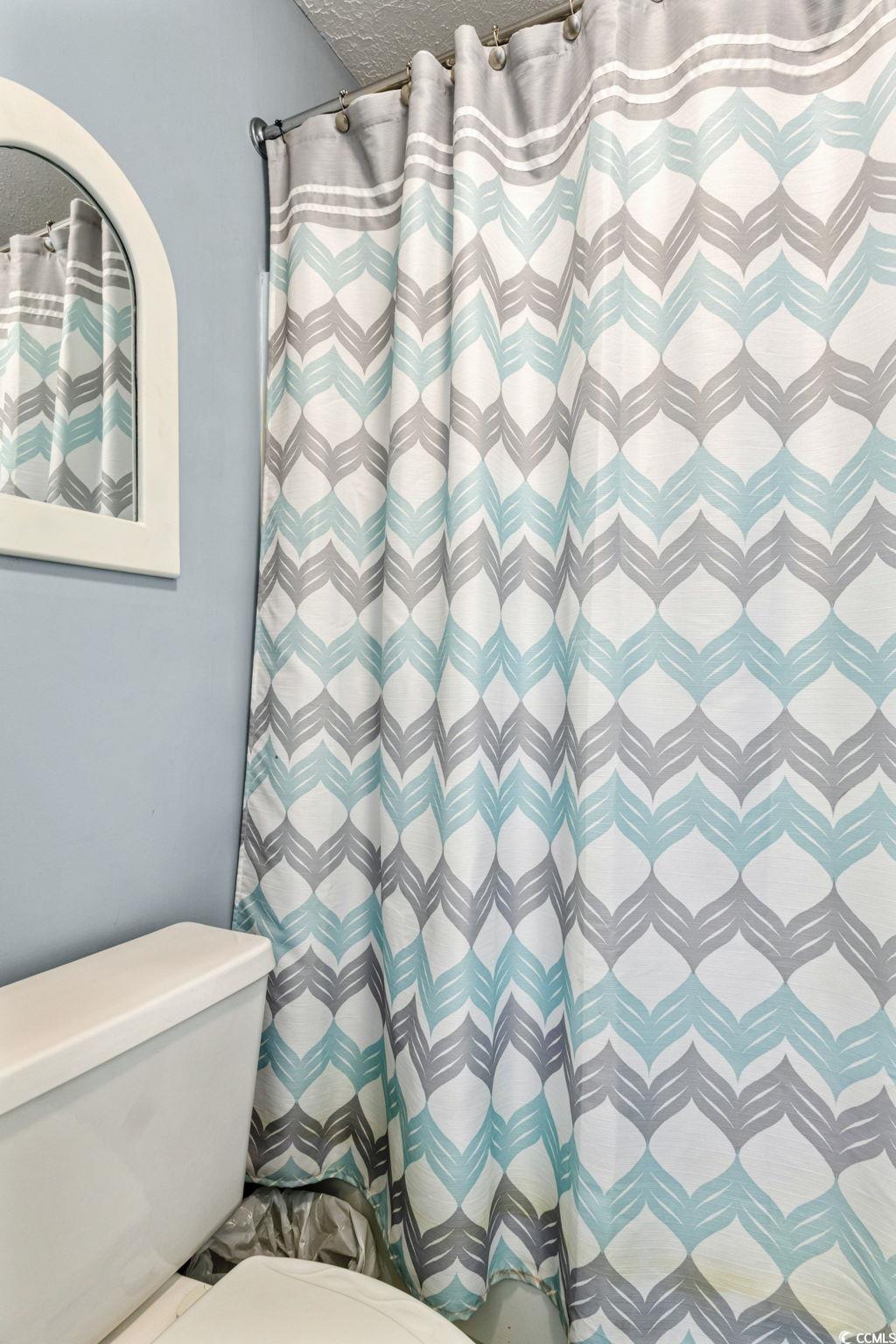 351 Lake Arrowhead Road, Unit 2206 Myrtle Beach, SC 29572 - Photo 17 of 40 Full bathroom featuring toilet and a shower with curtain