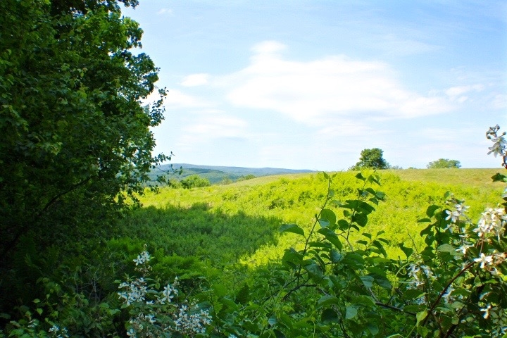 0 Welcome Hill Road West Chesterfield, NH 03466 - Photo 3 of 12