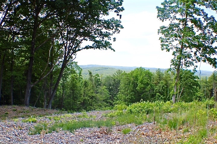 0 Welcome Hill Road West Chesterfield, NH 03466 - Photo 5 of 12