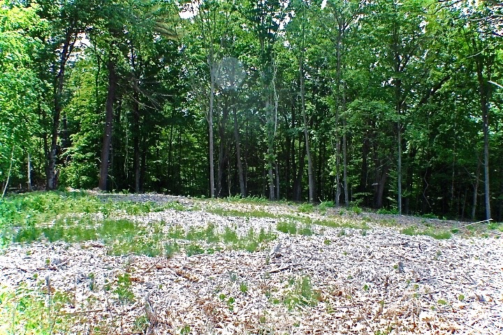 0 Welcome Hill Road West Chesterfield, NH 03466 - Photo 6 of 12