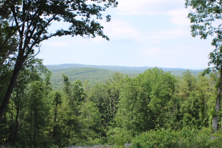 0 Welcome Hill Road West Chesterfield, NH 03466 - Photo 7 of 12