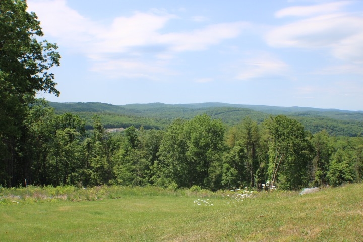 0 Welcome Hill Road West Chesterfield, NH 03466 - Photo 8 of 12