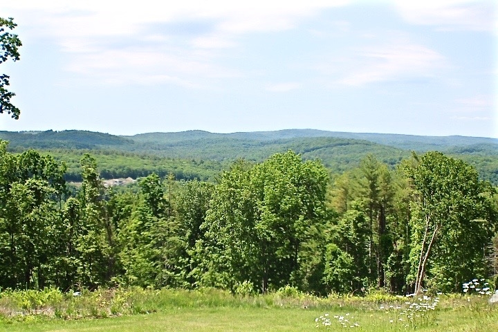 0 Welcome Hill Road West Chesterfield, NH 03466 - Photo 9 of 12