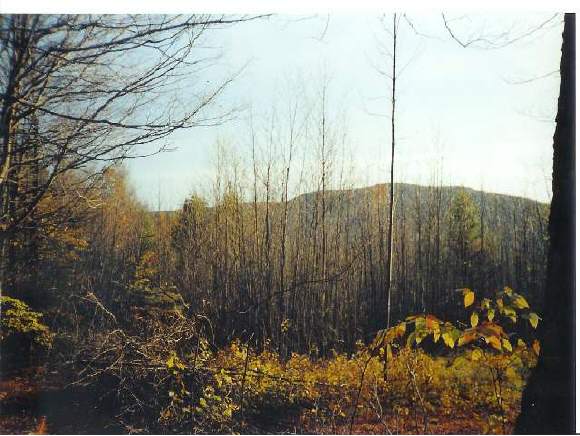 Lot 2 Mandigo Road Rockingham, VT 05101 - Photo 1 of 3