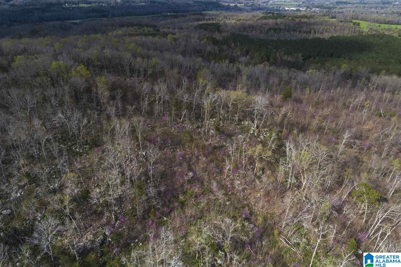 0 Joy Road Blountsville, AL 35031 - Photo 18 of 22