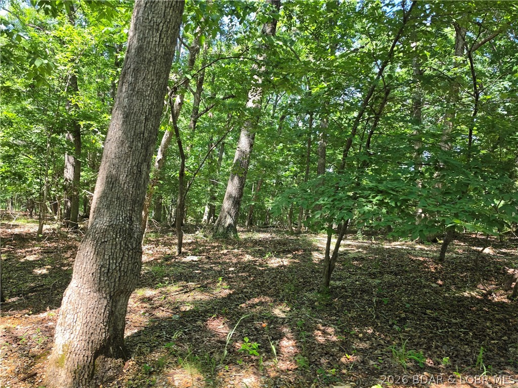 Tbd Cooper Road Gravois Mills, MO 65037 - Photo 3 of 7