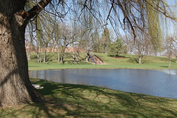 a view of a yard with an trees