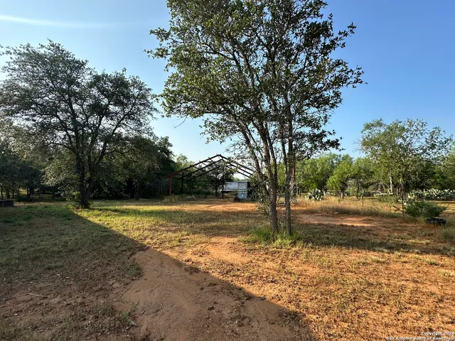 a view of a yard with trees