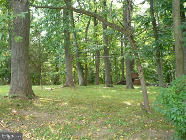 669 Cheyney Road Springfield, PA 19064 - Photo 13 of 13 Exterior Back