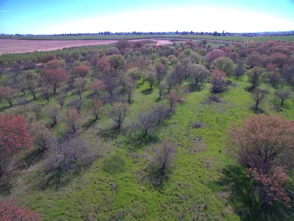 a view of a lake with a beach