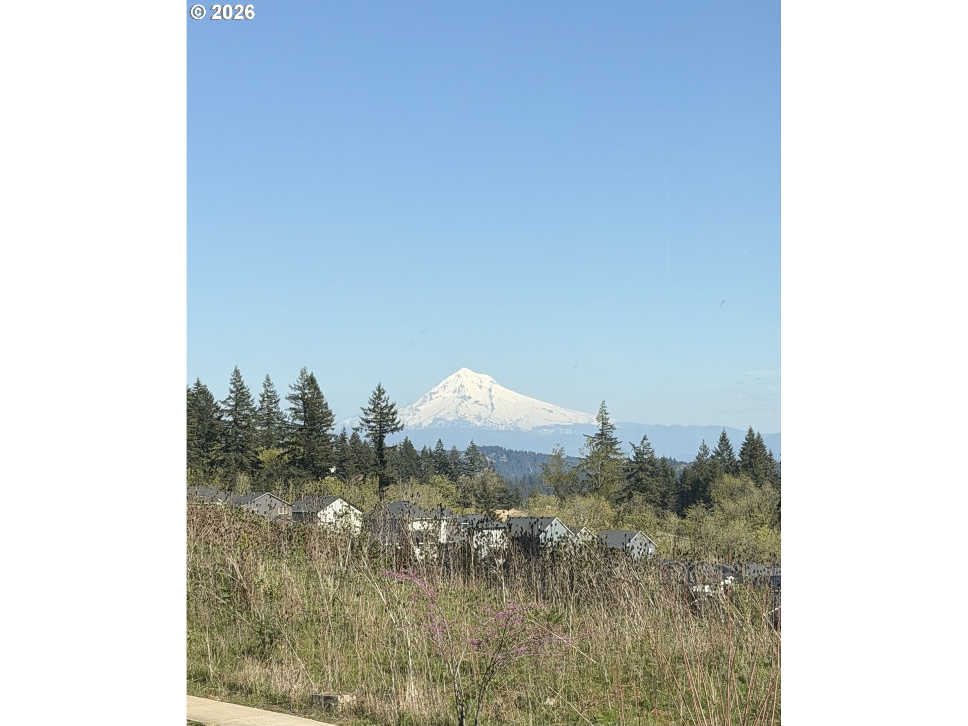 14857 Southeast Friendly Place Happy Valley, OR 97086 - Photo 43 of 43